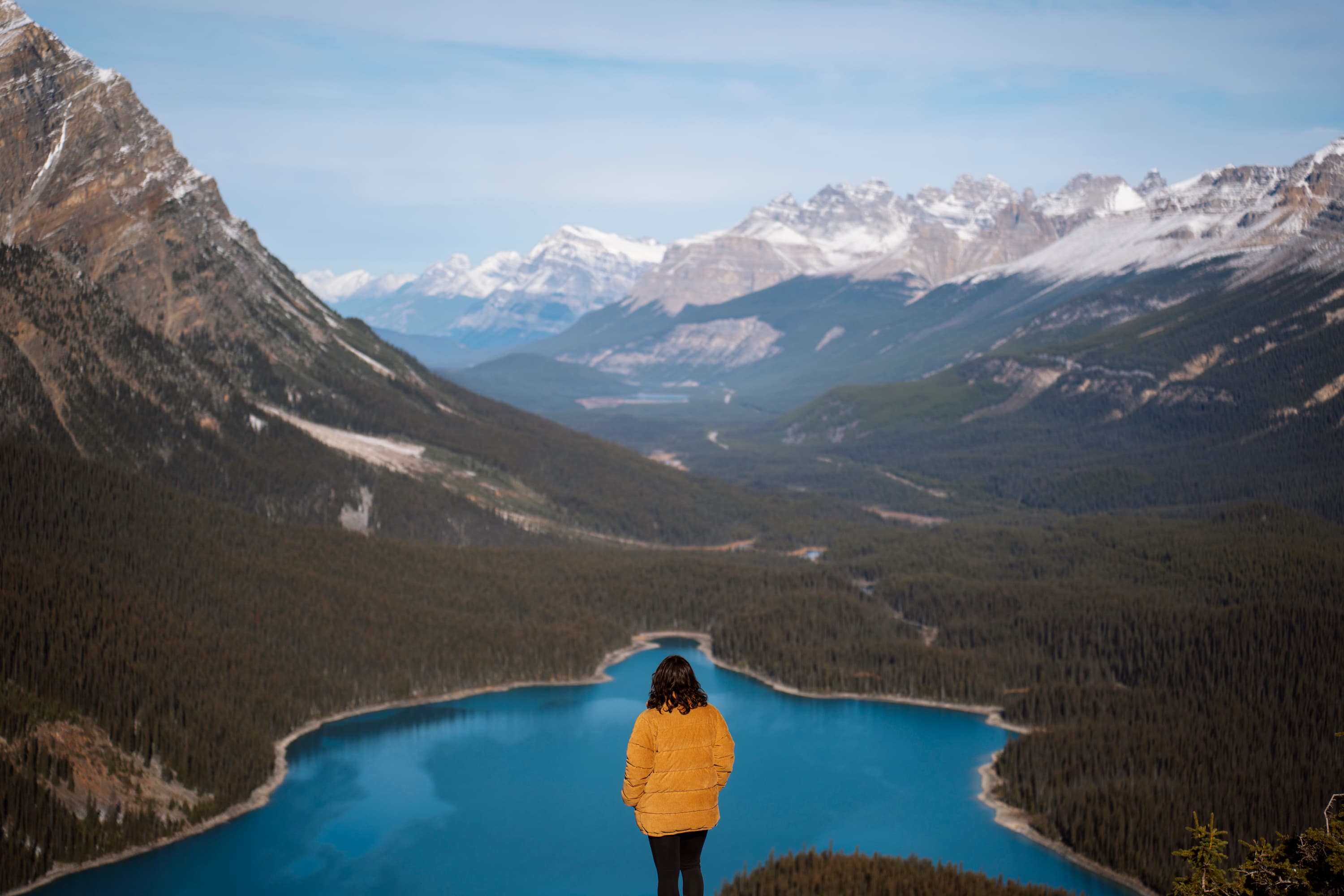 Roaming Studio accomodation portfolio hero